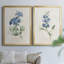Farmhouse Periwinkle I, toile encadrée de qualité supérieure - prête à être accrochée-368945162-368945163