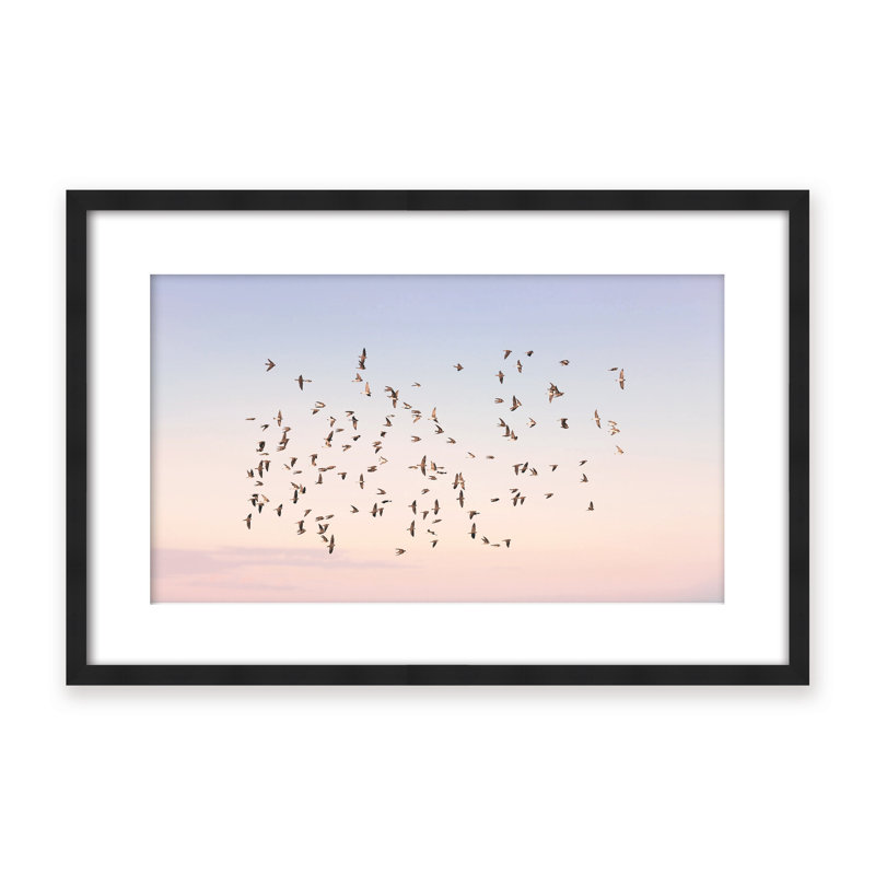 Nature Inspired Sunset Flight by  - Picture Frame Photograph on Paper, Framed Canvas, Brown, 32" H x 48" W x 2.375" D