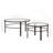 Gaia Glass Top Nesting Coffee Table-1036235385