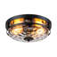 Raiven Clear Glass Flush Mount