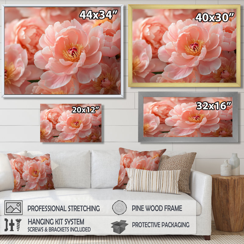 Martinez, photo de pivoines fermières au coucher du soleil II - pivoines, art mural, Reproduction encadrée d'une seule photo