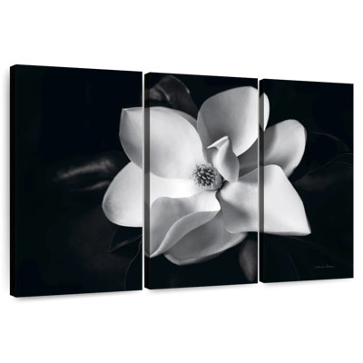 Harnek Magnolia en fleurs II
