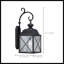 Lanterne murale d'extérieur en verre grainé noir Topeka-1018858056