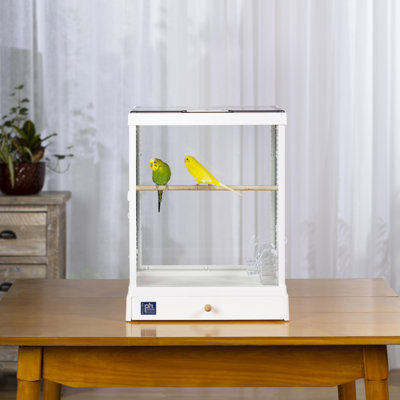 Ezekiella Glass Flat Top Table Top Bird Cage with Perch, Tray