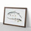 Bearded Sharks by John Edward Gray - Single Picture Frame Print-55543958-55543961