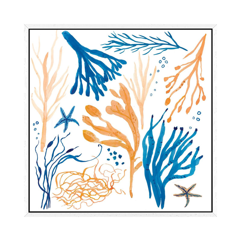 Seaweed Coastal by Michelle Campbell - Print on Canvas, White Framed, 66.04 cm H x 66.04 cm W