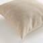 Blake Polyester Indoor/Outdoor Pillow Cover & Insert-490052833-490052835