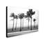 Wrapped Canvas Wall Art - Preston 'Florida BW Beach Palms' Wall Art for Living Room, Bedroom, or Office Décor - 35x47-714539526