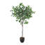 150cm Faux Ficus Tree in Freestanding