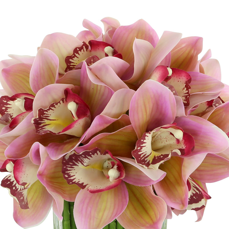 Orchid in Flat Glass Vase, Light Pink