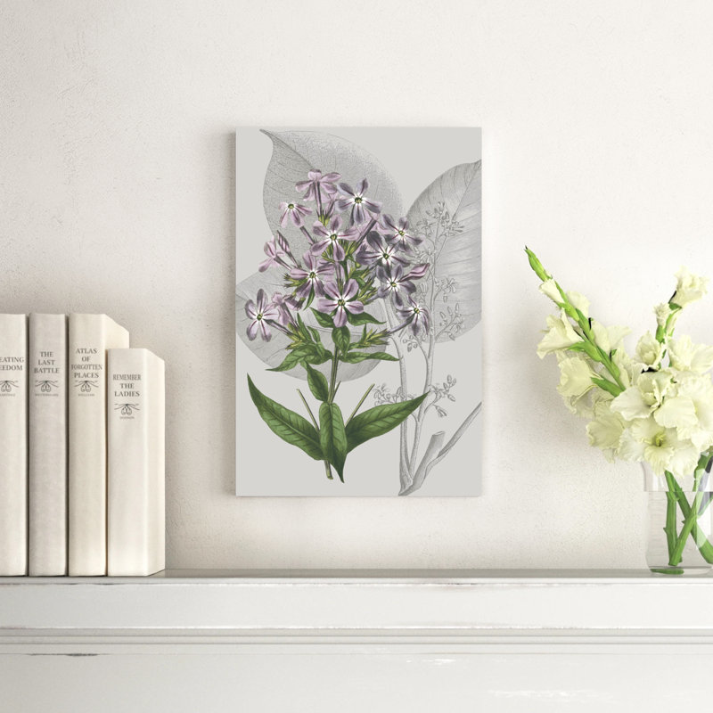 «Botanical Arrangement VI» par Vision Studio - peinture sur toile tendue, H 18 po x l 12 po