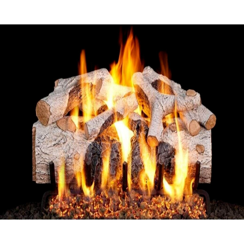 Real Fyre 24-inch Charred Mountain Birch Standard Gas Log Set, 30"