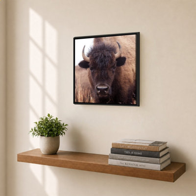 «American Bison IV» par Debra Van Swearingen - Impression sur toile