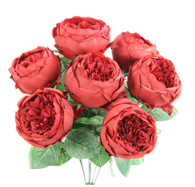 Buisson de roses en pleine floraison, Rouge