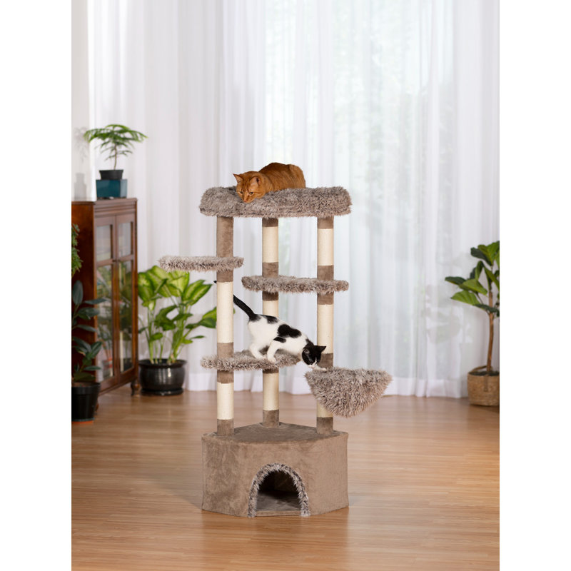  Great Dunes Mountain Cat Tower