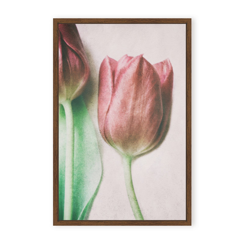 Nature Inspired The Spring Lovers by  - Picture Frame Graphic Art on Paper, Framed Canvas, 48" H x 32" W x 2.375" D, White