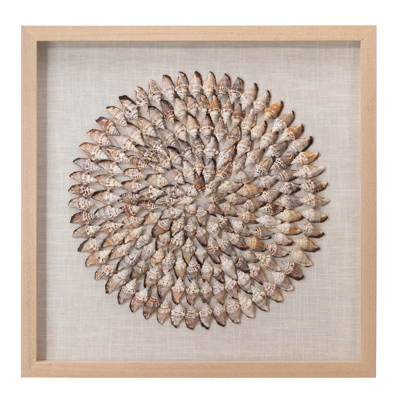 Beige Simnia Shell Framed Wall Art