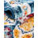 Oriental Indoor Rug