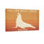 Animaux, otarie, roche, chalet, Oregon-664592114-664592113-664592118