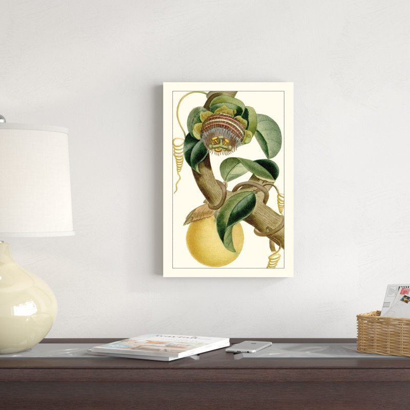 Turpin exotique botanique VII, H 18 po x l 12 po x P 1,25 po