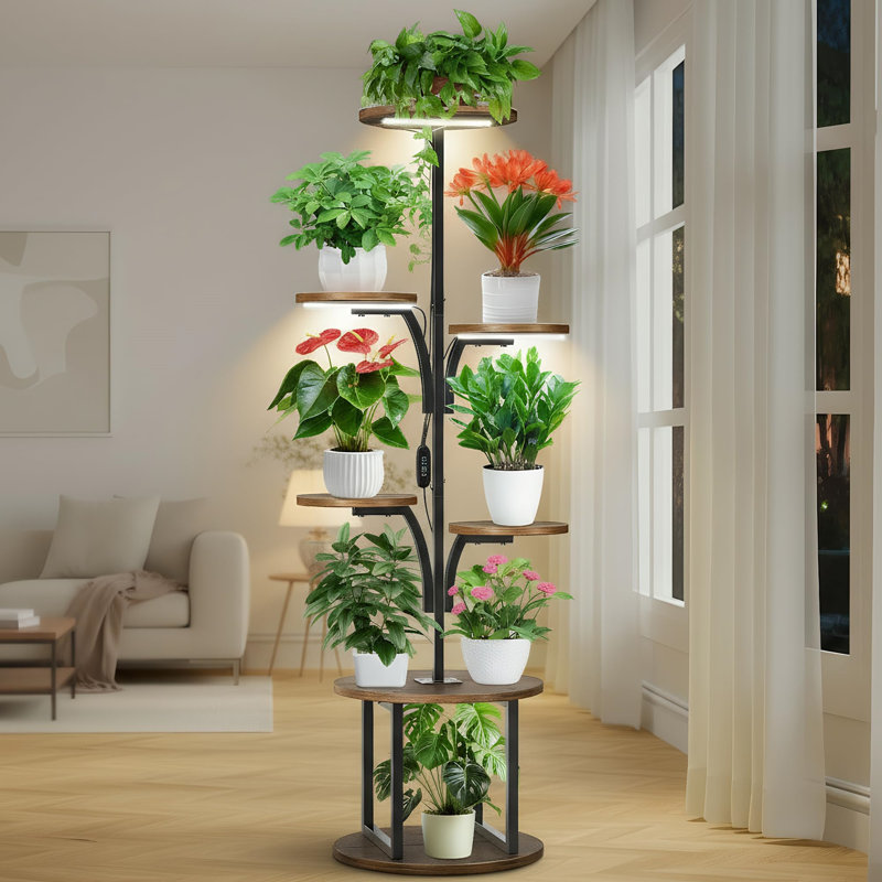 Plant Stand - Set of 7