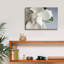 «Magnolia» par PhotoINC Studio-1628571292