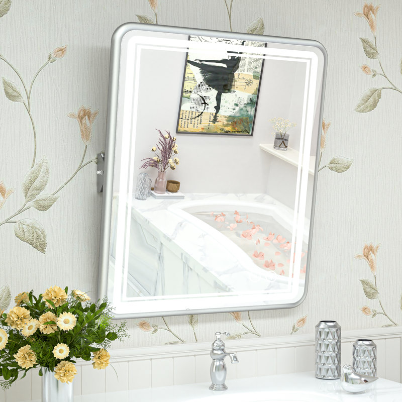 Miroir de salle de bain rectangulaire Demivion, 26 po x 22 po, Argent