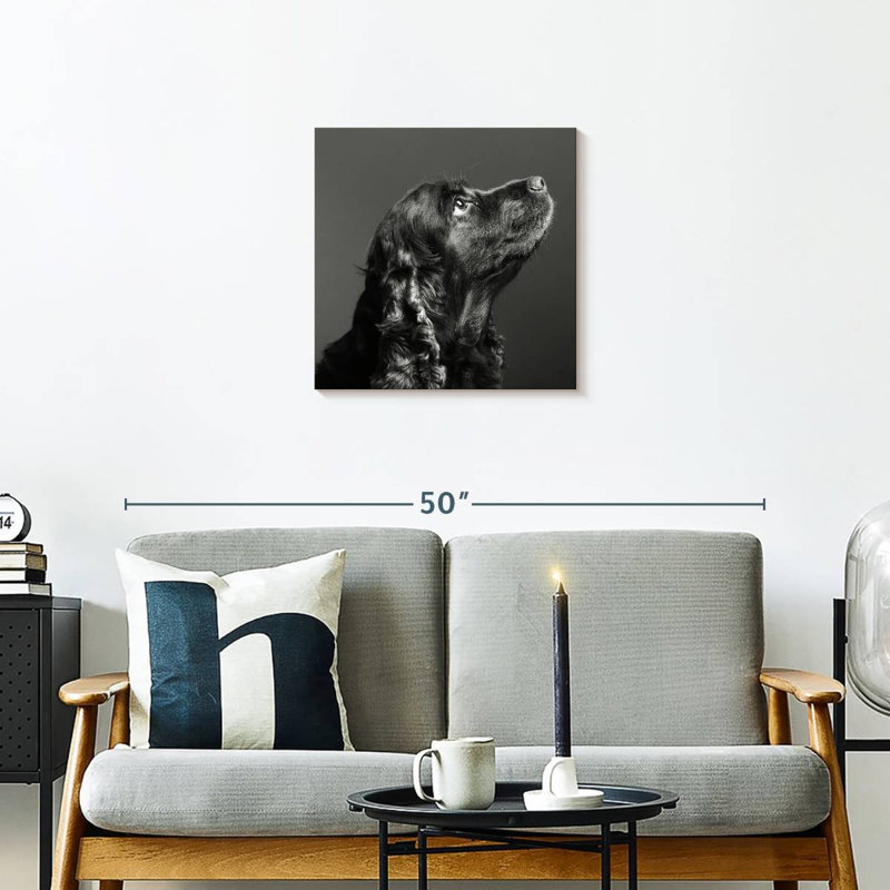 Brampt Shiny Black Dog, 20" H x 20" W