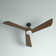 Sculpt 60" LED Fan