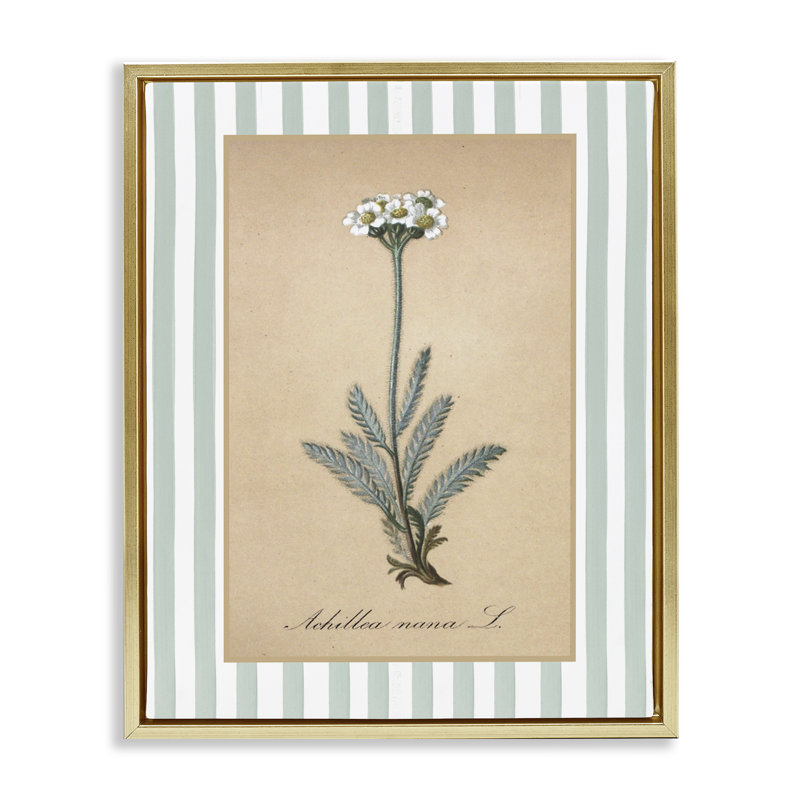 Cadre flottant Wild Herb avec rayures vertes, design avec lettres et doublure, H 31 po x l 25 po