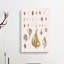 Types Of Seashells PL. 8 by J.E. De Kay - Wrapped Canvas-55330780