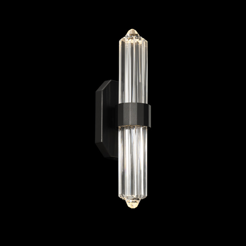 Plumeria 2 - Light LED Armed Sconce, Black
