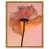 Gold Floater Frame is unavailable