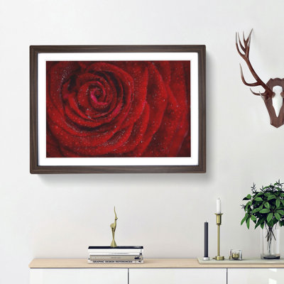 Dewdrops upon a Red Rose - Picture Frame Painting Print