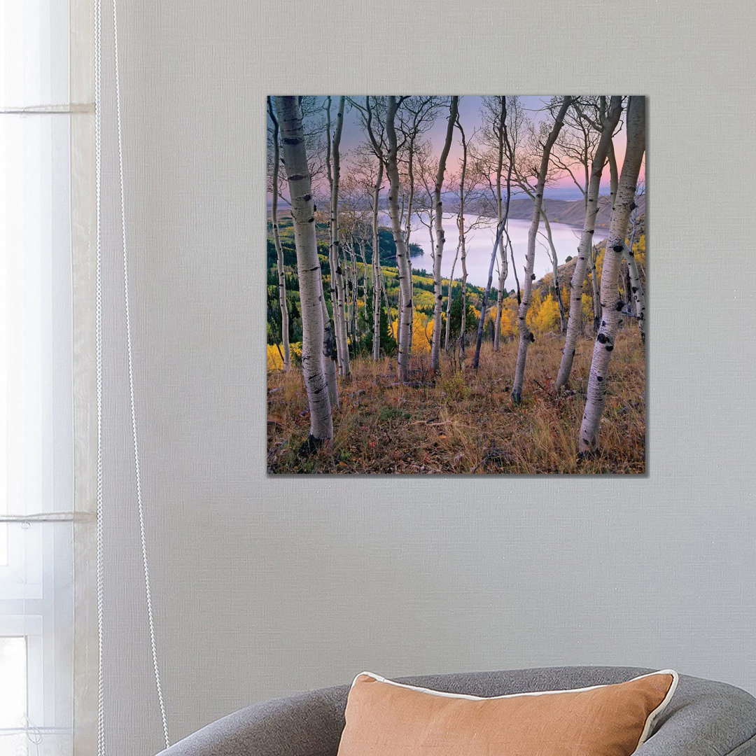 Aspen Forest mit Blick auf den Fremont Lake, Bridger-Teton National Forest, Wyoming I - Drucken