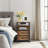 Kohaku 23” 2-Drawer End Table with USB Port and Touch Control, Nightstand with LED Light