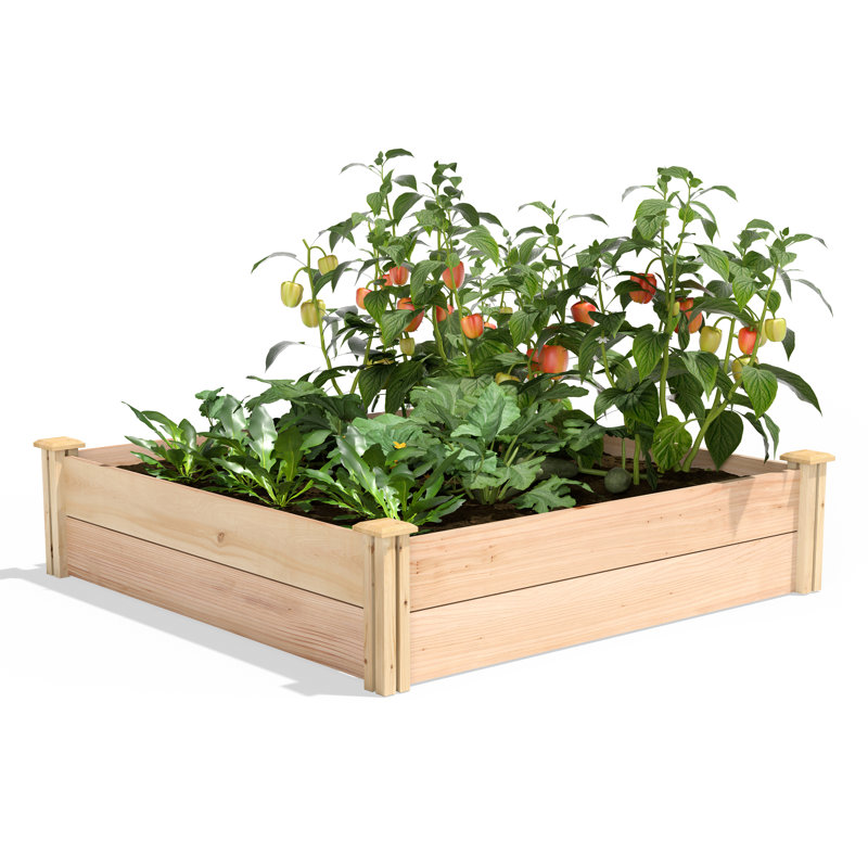 Premium Cedar Raised Garden Bed, 11" H x 48" H x 48" D