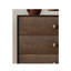 Commode décorative de style japonais rétro