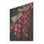 Colibri rose jardin fuchsia I - Fuschia sur bois-793201662