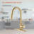 NOVEL Pull Down Kitchen Faucet-71345401