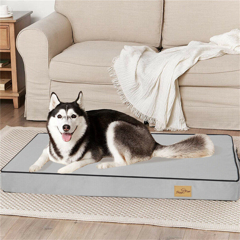 Pet Bed Orthopedic Cotton Pet Bed, Extra large (3.9" H x 47.2" W x 35.4" D)
