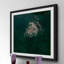 Single Picture Frame Print-18320502