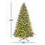 Sapin illuminé 12 pi