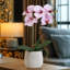 Faux orchidée Phalaenopsis-1623614986