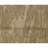High-Quality Hand-Knotted Gold Area Rug
