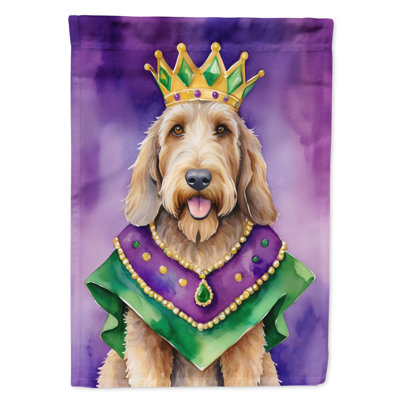 Double Sided 28'' H x 40'' W Polyester Mardi Gras House Flag
