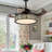 Otisville 42'' Ceiling Fan with LED Lights