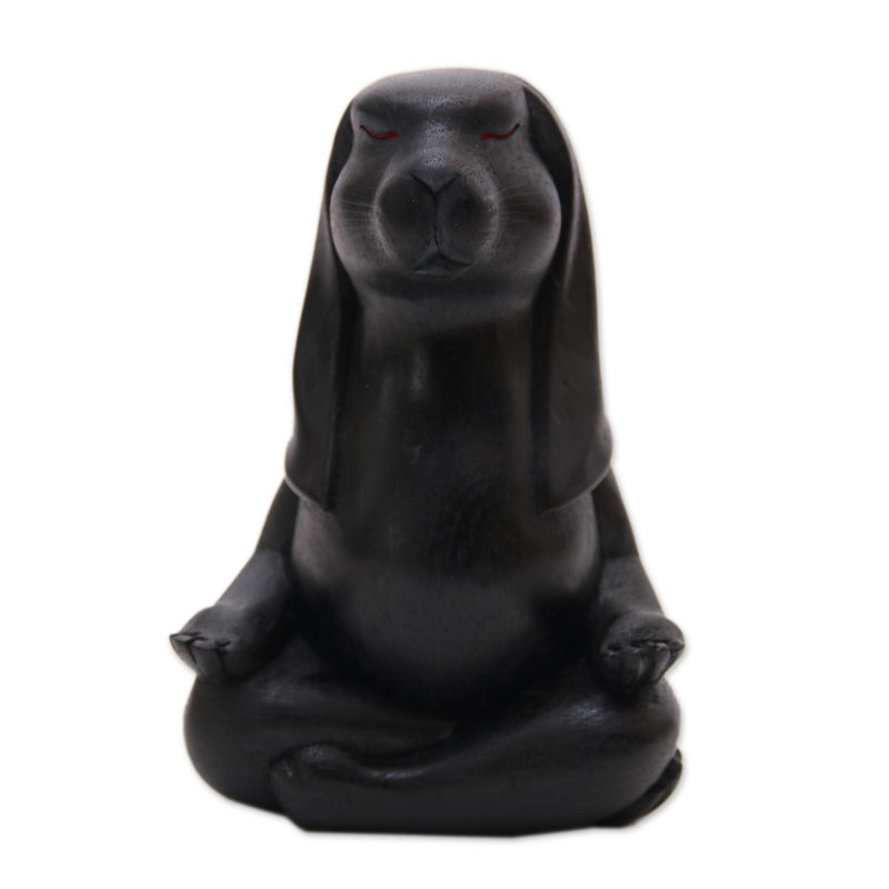 Lapin de yoga enceinte Sophia