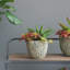 Pot à fleurs en ciment Berube-977347527