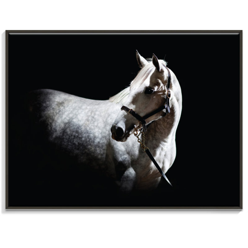 Horse 2 by Joe Vittorio - Print on Canvas, 76cm H x 102cm W, Black